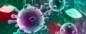 HPV ve Papilloma